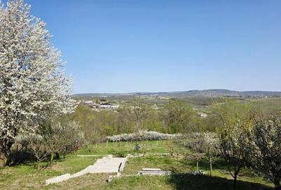 Casă individuală cu 4 camere cu Teren 1500 Mp în Hlincea - 3