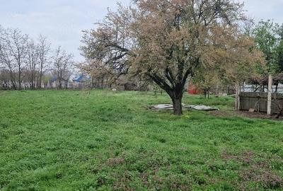 Casă cu 5 camere cu Teren 2200 Mp în Zăvoaia