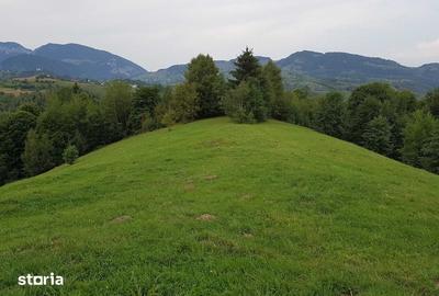 Teren de 38000 mp, în Central - 5