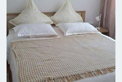 Apartament cu 2 camere în Central - 2