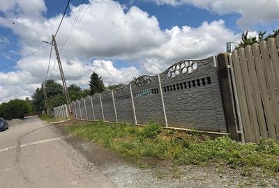 Teren Construcții intravilan de 12500 mp, în Chirnogi - 2