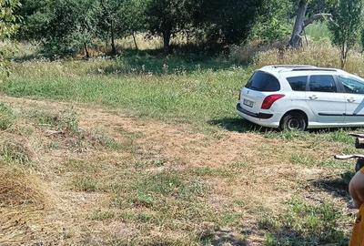 Casă cu Teren 11000 Mp în Valea Poienei