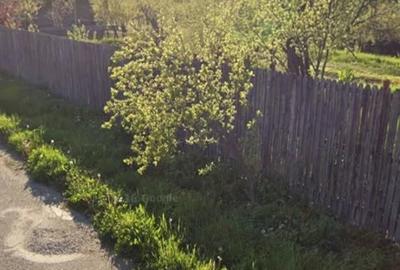 Teren de 1000 mp, în Moșoaia