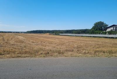 Teren agricol extravilan de 6200 mp, în Gruiu - 2