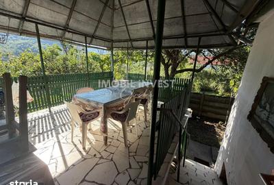 Casă cu 3 camere cu Teren 2200 Mp în Pianu