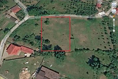 Teren de 1700 mp, în Central - 3