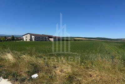 Teren agricol intravilan de 10000 mp, în Șura Mică - 2