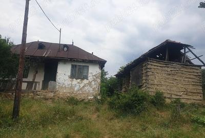 Casă cu 3 camere în Tega