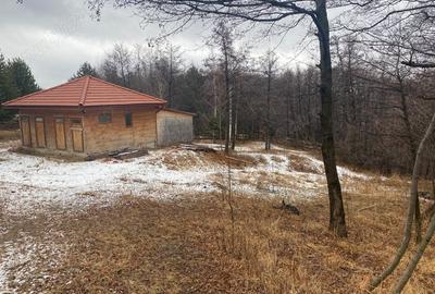 Teren de 3723 mp, în Chiliile - 2