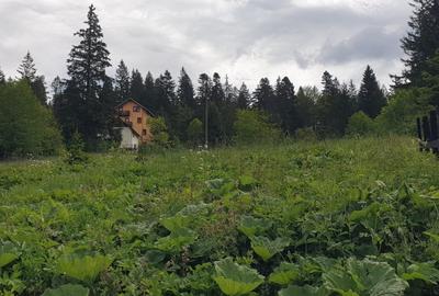 Teren agricol intravilan de 5000 mp, în Predeal - 3