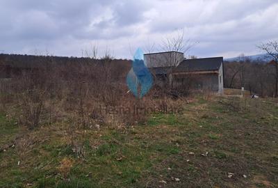Teren Construcții intravilan de 1644 mp, în Bârnova - 3