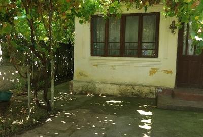 Casă cu Teren 691 Mp în Leu