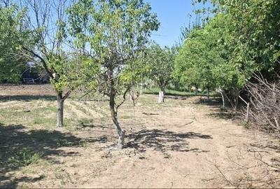 Teren de 2000 mp, în Hârșova - 8