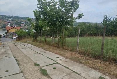 Spațiu comercial, în Valea Lupului