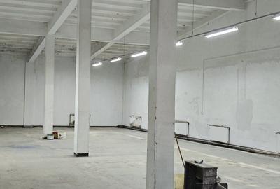 Spațiu comercial, de 400 mp, în Gheorghe Doja