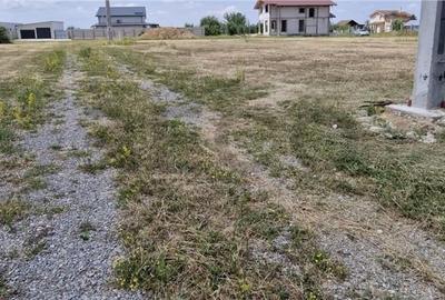Teren de 1000 mp, în Sânmartin - 1