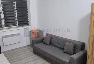 Garsonieră decomandată, mobilată în Broșteni - 2