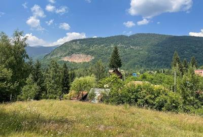 Teren de 4534 mp, în Câmpu lui Neag - 7