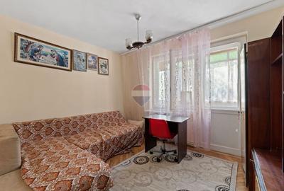 Apartament cu 2 camere decomandat, mobilat în Podgoria - 4