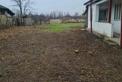 Casă în Garoafa