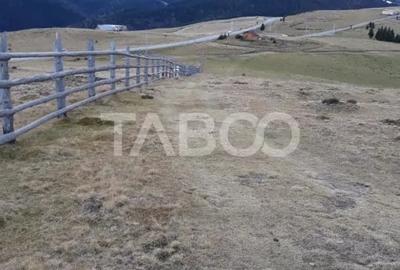 Teren de 3854 mp, în Paltin - 5