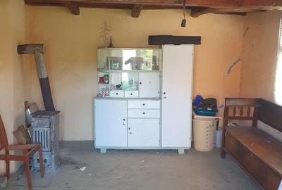 Teren de 3300 mp, în Firminiș