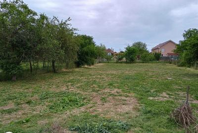 Casă cu 4 camere în Șicula - 3
