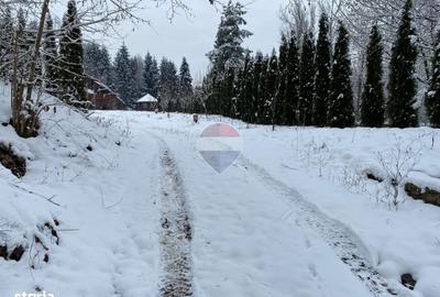 Spațiu comercial, de 280 mp, în Piatra