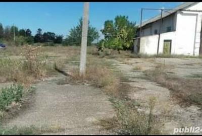 Spațiu comercial, de 8,438 mp, în Cobadin - 6