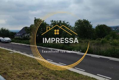 Teren de 6000 mp, în Ipotești - 2