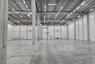 Spațiu industrial, de 9,500 mp, în Industrial Vest - 16