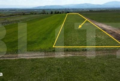 Teren de 590 mp, în Ilieni