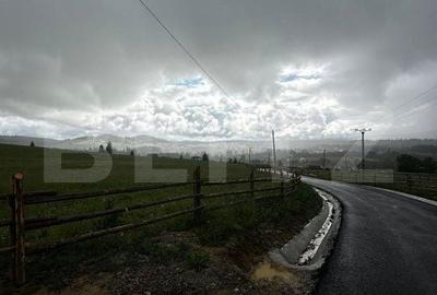 Teren de 20000 mp, în Obcini - 2