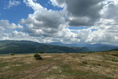 Teren de 9000 mp, în Sârbești - 1