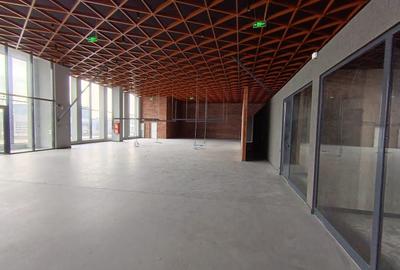 Spațiu comercial, de 760 mp, în Calea București - 2