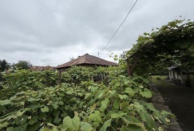 Casă cu 4 camere în Jugureni - 8