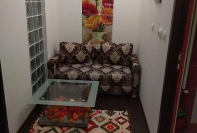 Garsonieră decomandată în Beba Veche - 2