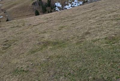 Teren de 7800 mp, în Măguri - 5