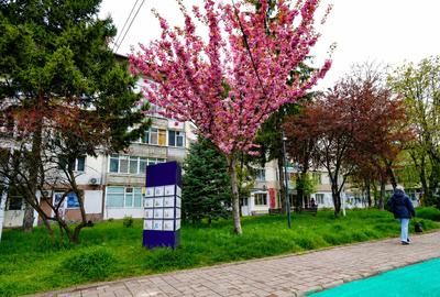 Spațiu comercial, de 24.629999160767 mp, în Central - 10