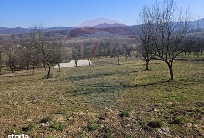Teren de 4627 mp, în Bârsana - 6