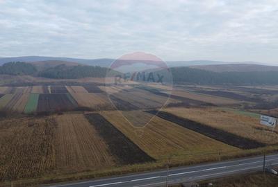 Teren Construcții intravilan de 9000 mp, în Gilău - 11