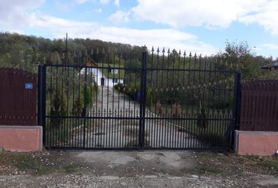 Casă cu 4 camere cu Teren 4500 Mp în Dragodana - 2