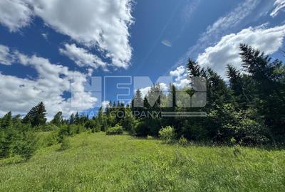 Teren extravilan de 23520 mp, în Periferie - 1