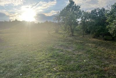 Teren de 3000 mp, în Ciofrângeni
