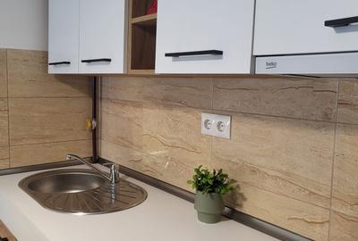 Apartament cu 2 camere semidecomandat în Dosu Bricii - 2