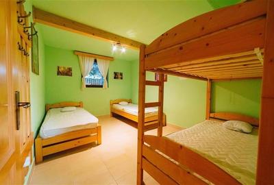 Casă individuală cu 12 camere cu Teren 19841 Mp în Valea Strâmbă - 8