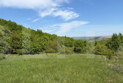 Teren extravilan de 1848 mp, în Chinteni