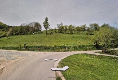 Teren de 2500 mp, în Sohodol - 1