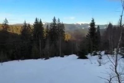 Teren de 2000 mp, în Pojorâta - 3
