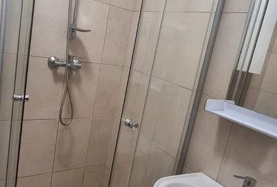 Apartament cu 2 camere semidecomandat în Gorjului - 2